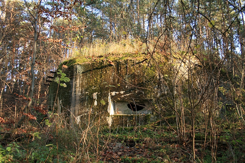 Rostoczek 11.2008 425